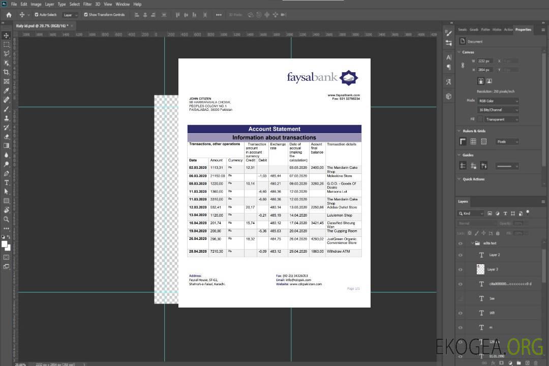 Relevé de la banque Pakistan Faysal template Relevé de la banque Pakistan Faysal template